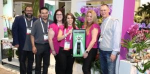 silver vase team copy