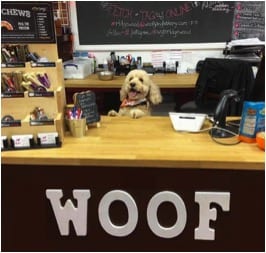 Woof Gang Bakery